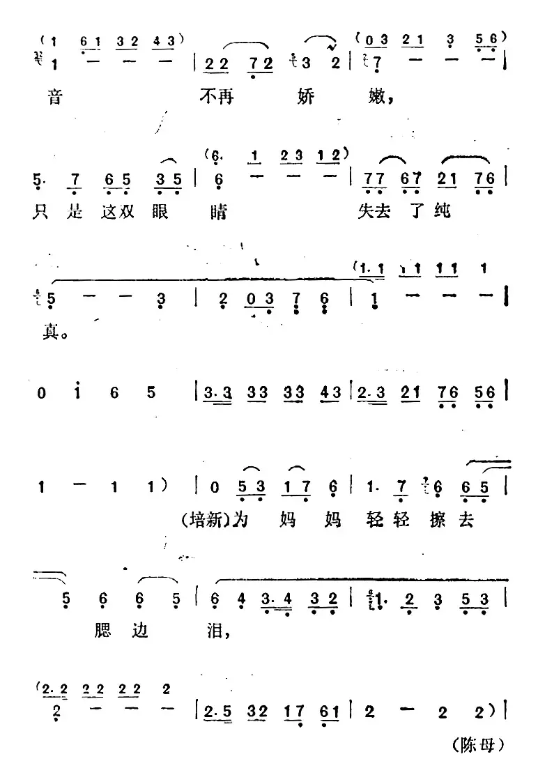 《野马》选曲：还是这声音（陈母、陈培新联唱）